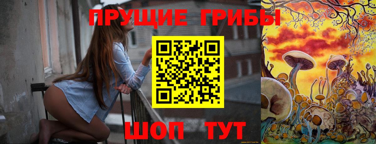 Галлюциногенные грибы Magic Shrooms  купить наркотики сайты  Вход с VPN  Усть-Джегута  Галлюциногенные грибы Psilocybine cubensis 